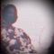 Feeling Blue (feat. HoneyBerryDrip) - Lil Exosphere lyrics