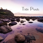 Lynn Tredeau - Tide Pools