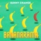 Bananarama - Sunny Change lyrics