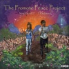 The Promote Peace Project