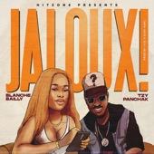 Jaloux! artwork