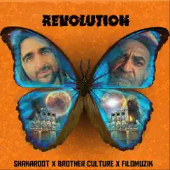 Revolution - Single by Shakaroot, Brother Culture & Filomuzik album reviews, ratings, credits