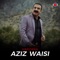 Harzana - Aziz Waisi lyrics