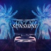 Ain't No Sunshine - Single