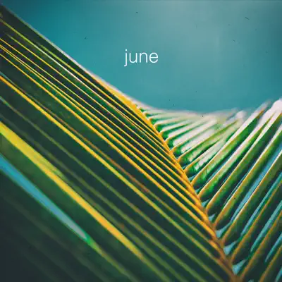 June - Single - The Foreign Exchange