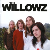 The Willowz - We Live On Your Street