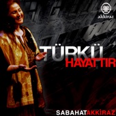 Türkü Hayattır artwork