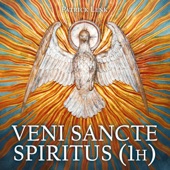 Veni Sancte Spiritus (1h) artwork