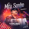 Eu Tenho a Senha by Tarcísio do Acordeon iTunes Track 1