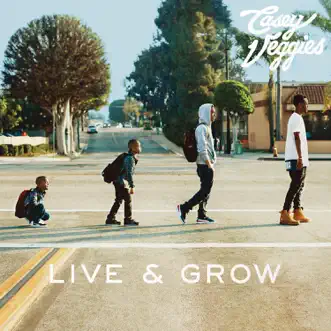 RIP (feat. Tyler, The Creator) by Casey Veggies song reviws