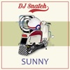 Sunny - Single