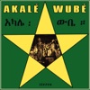Akalé Wubé, 2010