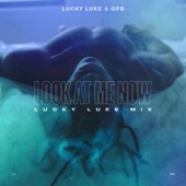 Look At Me Now (Lucky Luke Mix) artwork