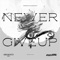 Never Give Up (Arknights Soundtrack) artwork