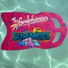 Summers Fly - Single