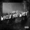 While You Wait - Single