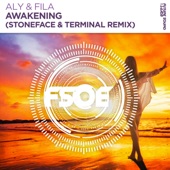 Awakening (Stoneface & Terminal Remix) artwork