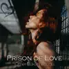 Prison of Love - Single album lyrics, reviews, download