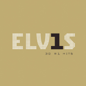 Elvis Presley - Too Much Lyrics