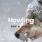Howling (with Lunice) - DNI lyrics