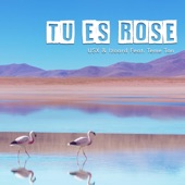 Tu Es Rose (feat. Témé Tan) artwork