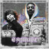 No puedo olvidarte artwork