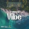 U Know Di Vibe - Single