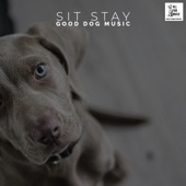 Sit Stay Good Dog Music artwork