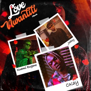 CKay - Love Nwantiti (ah ah ah) (feat. Joeboy & Kuami Eugene) (Remix) - Line Dance Musik