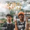 Sorry Mom (feat. Raffa Moreira) - Duzz lyrics