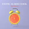 Exotic Alarm Clock album lyrics, reviews, download