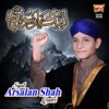 Labaik Ya Rasool Allah - Single