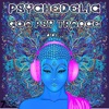 Psychedelic Goa Psy Trance, Vol. 1