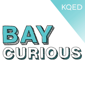 Bay Curious podcast