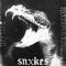 Snxkes (feat. MxrtvlKxmbvt) - WXTTLE lyrics