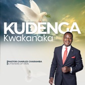 Kudenga Kwakanaka artwork