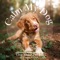 Time To Relax - Relaxmydog, Dog Music Dreams & Dog Music lyrics