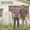 Muscadine Bloodline - Dispatch To 16th Ave