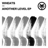 Another Level - EP