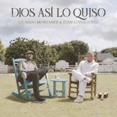 Ricardo Montaner - Dios Así Lo Quiso