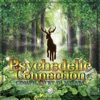 Psychedelic Connection (Compiled by Dj Misaki)
