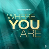 Where You Are (feat. Niiella) artwork