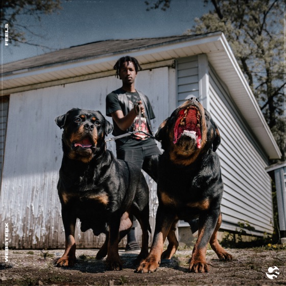 Cover artwork for Feels
