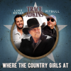 Trace Adkins, Luke Bryan & Pitbull - Where the Country Girls At  artwork