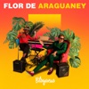 Flor de Araguaney - Single