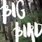 Big Bird - Darin lyrics