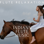 Native Indian Song - Flute Relaxation