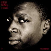 The Secret - Vieux Farka Touré