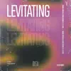 Levitating (feat. ES.Kay) song lyrics