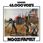 Ngozi Family - Every Thing Is Over